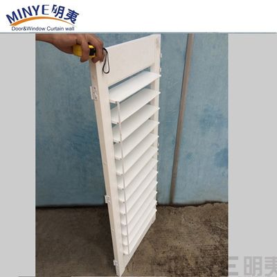 Relógios de Janela de Plantação de PVC Eco-Friendly