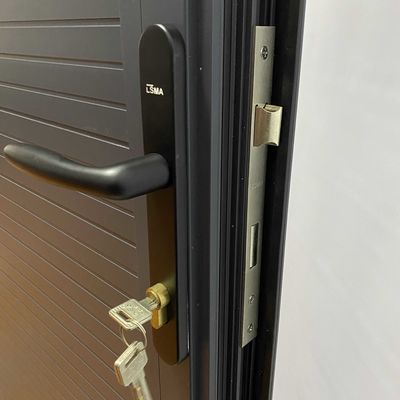 Modern Design Europe Segurança Porta de aço com fechaduras Engrenagens e manobras Acessórios